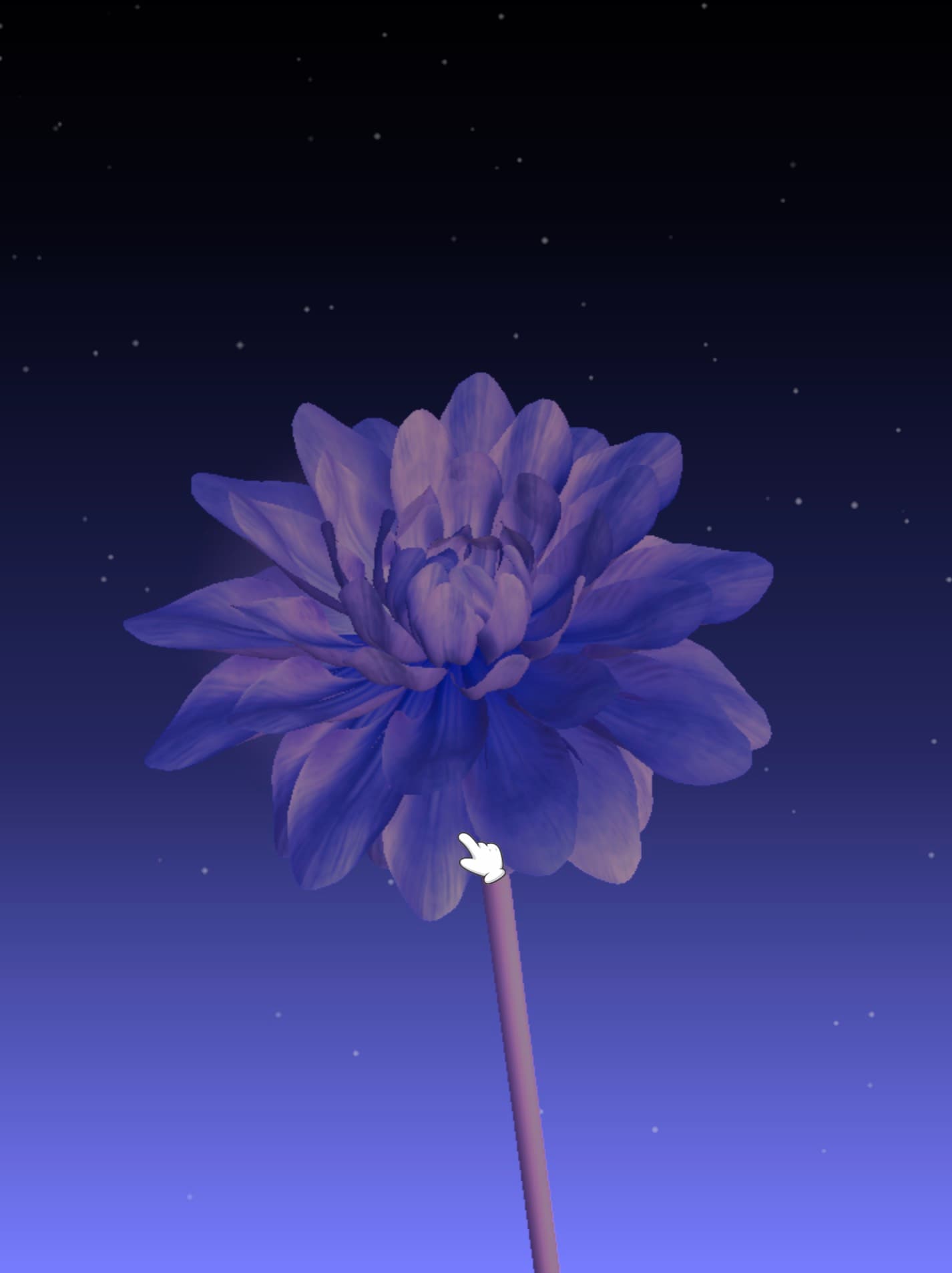 Bloom